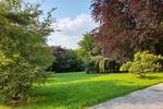 Erdgeschoßwohnung Schlangenbad - 5 Zimmer, 200 m&sup2;, 2.000&euro; | Angebot:24848187