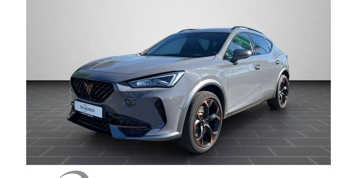 Cupra Formentor 89.561 km 24.380 &euro; Mainz 55129