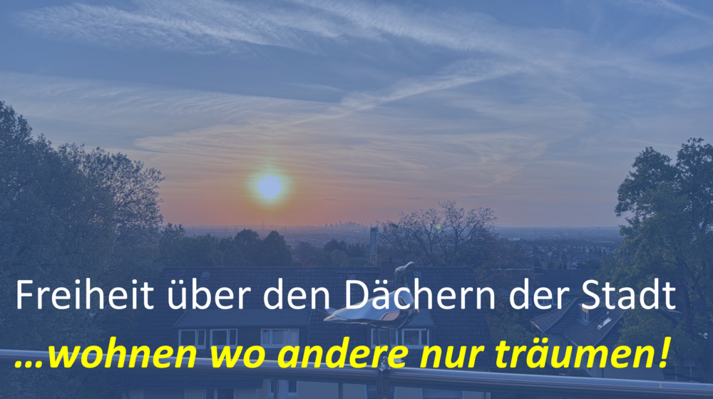 Etagenwohnung Hofheim am Taunus - 4 Zimmer, 194 m&sup2;, 4.300&euro; | Angebot:26482772