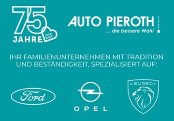 Ford Fiesta 23.000 km 17.850 &euro; Bingen 55411